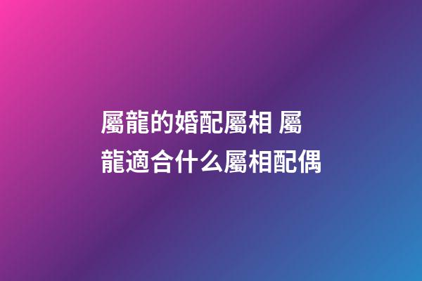屬龍的婚配屬相 屬龍適合什么屬相配偶-第1張-觀點-玄機派